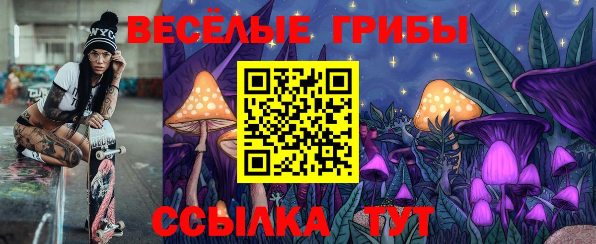 продажа наркотиков  Галлюциногенные грибы MAGIC MUSHROOMS  Вход с VPN  Галлюциногенные грибы GOLDEN TEACHER  Балахна 